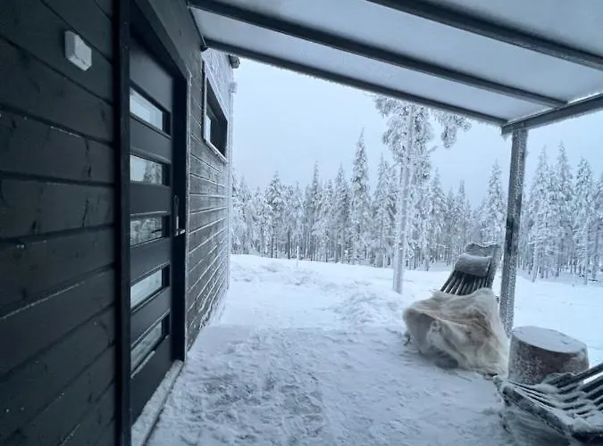 Levi Sensu - Levi Sky Igloos